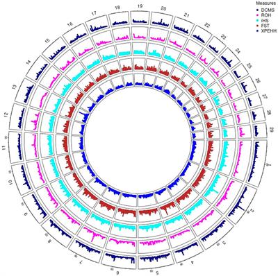 Signatures of selection in Angus and Hanwoo beef cattle using imputed whole genome sequence data